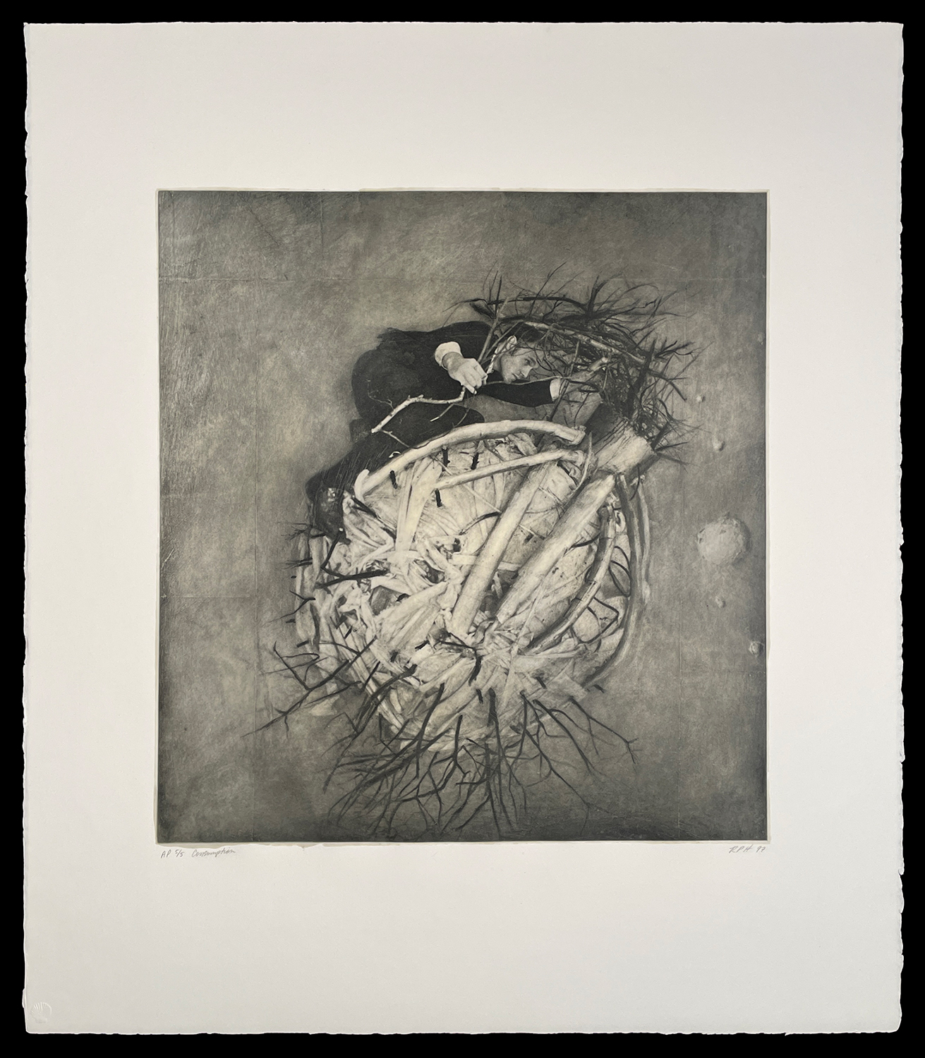 Consumption by Robert ParkeHarrison