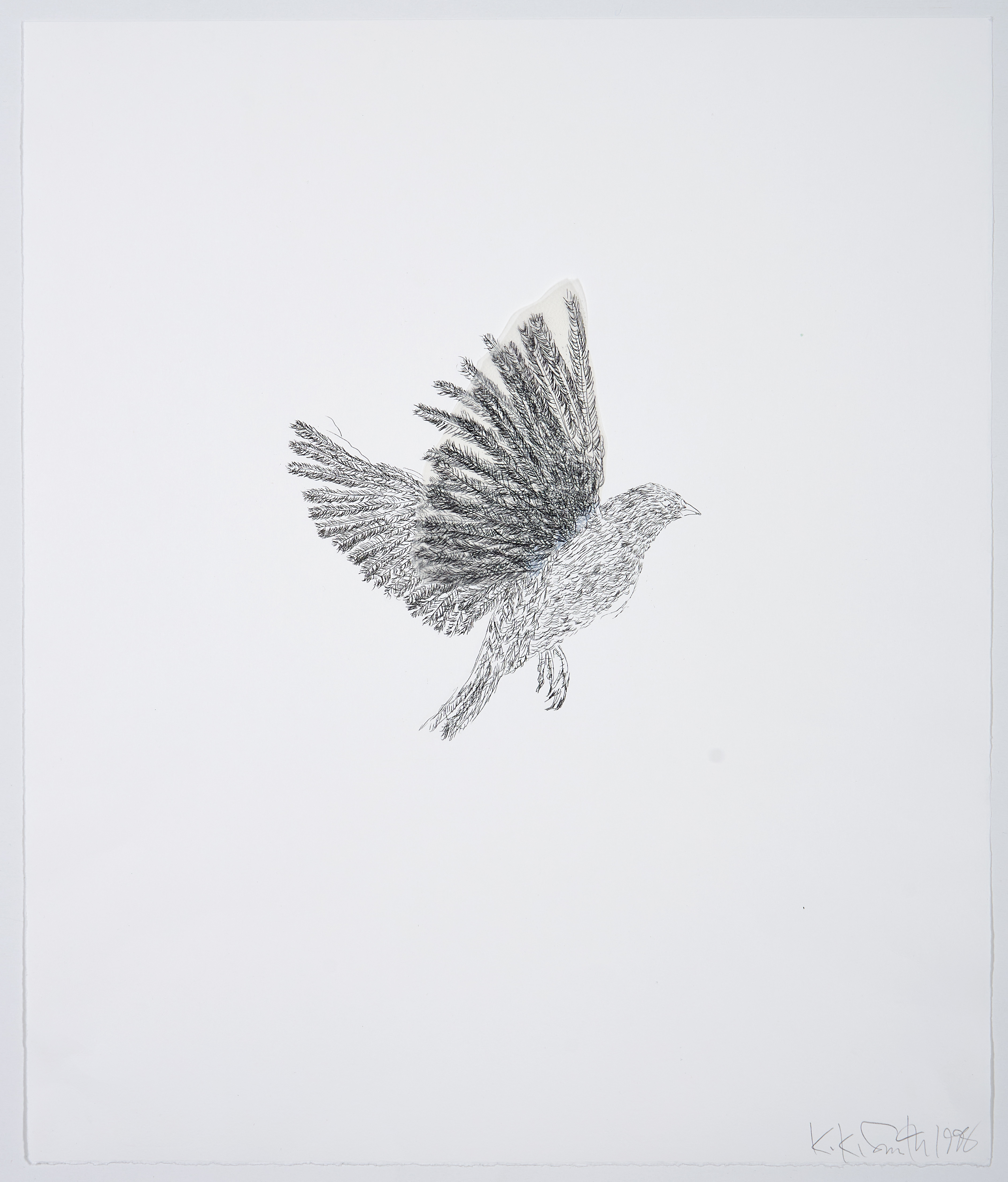 Untitled (Bird) by Kiki Smith