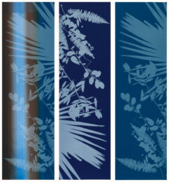 Inspired By The Notion That Location Is Everything #1, 2, 3 by Jason Middlebrook at Graphicstudio