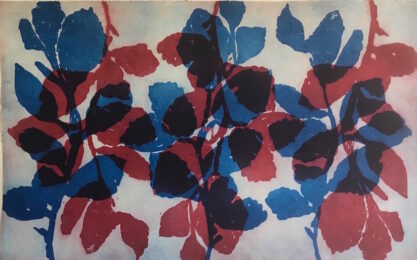 Wilder Witch Hazel #1 by Nancy Azara at VanDeb Editions