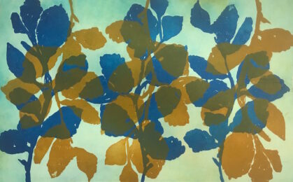 Wilder Witch Hazel #20 by Nancy Azara at VanDeb Editions