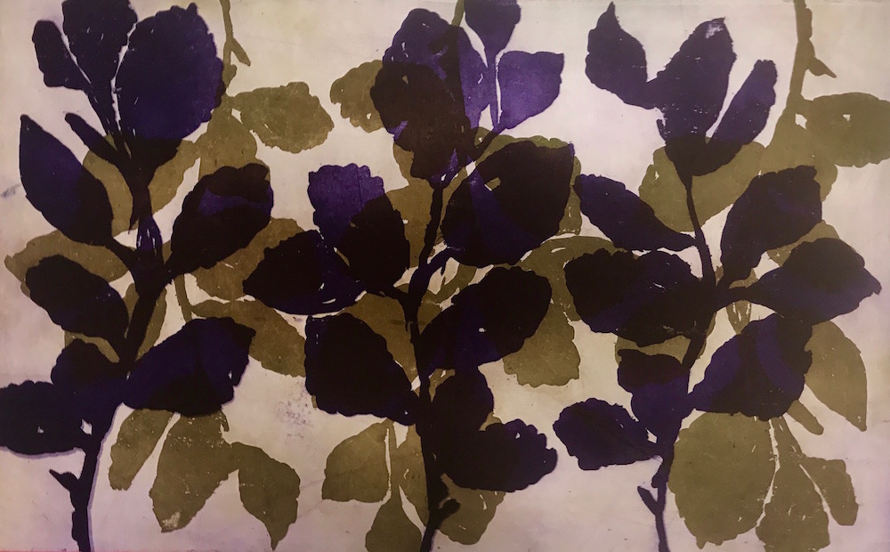 Wilder Witch Hazel #23 by Nancy Azara