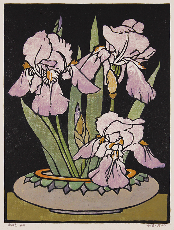 Bert’s Iris by William Seltzer Rice