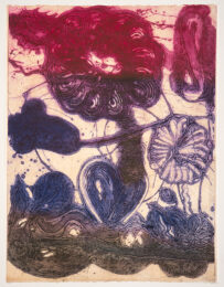 Garden (daisy, Magenta, Violet, Pheasant) by Catherine Howe at Manneken Press (IFPDA)