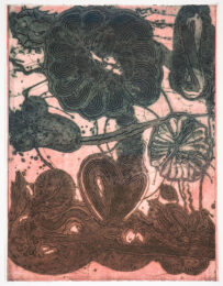 Garden (daisy, Pheasant, Green On Rose) by Catherine Howe at Manneken Press (IFPDA)