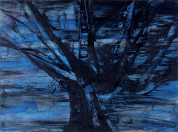 Imagined Possibilities 14 by Deborah Freedman at Oehme Graphics