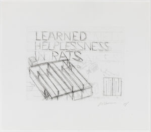 Learned Helplessness In Rats by Bruce Nauman at Susan Sheehan Gallery
