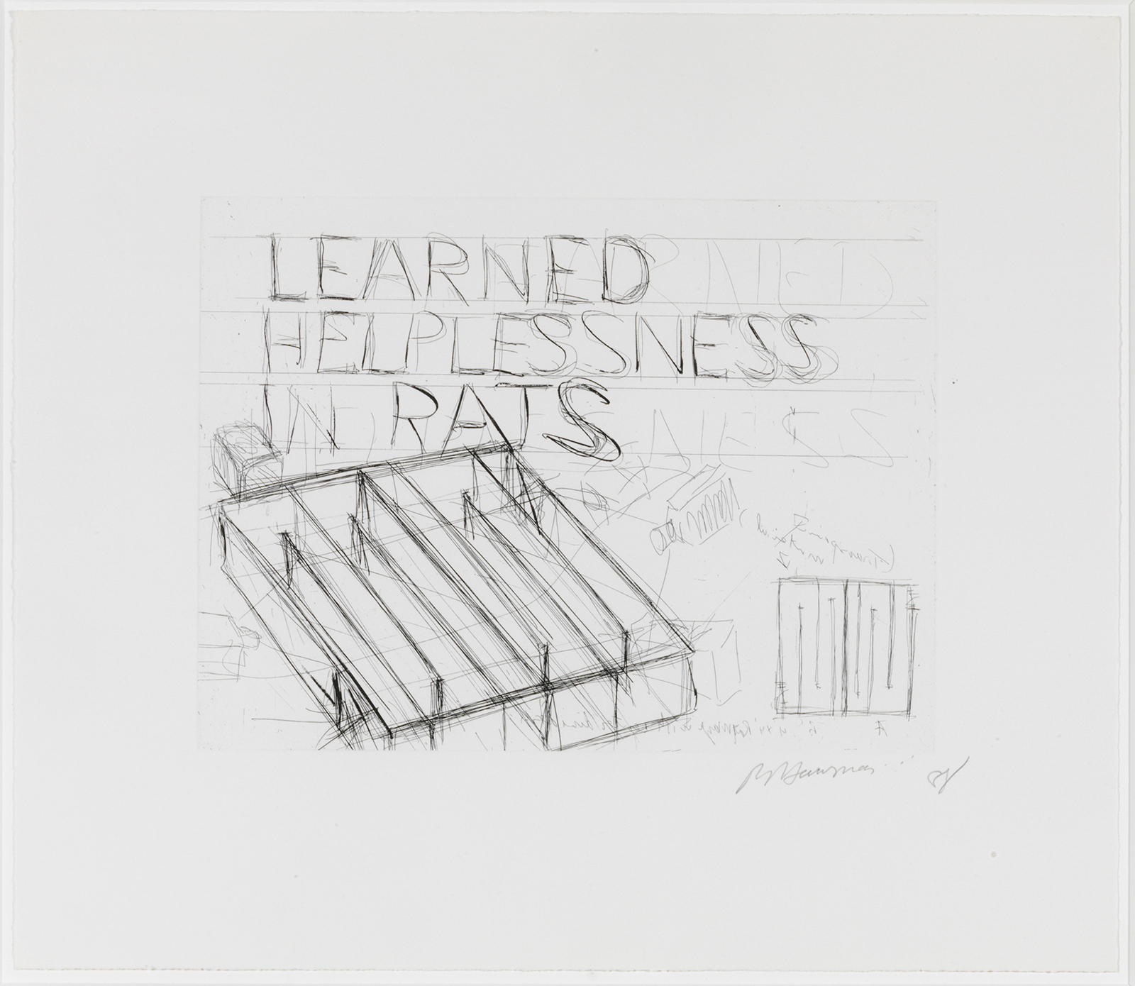 Learned Helplessness In Rats by Bruce Nauman