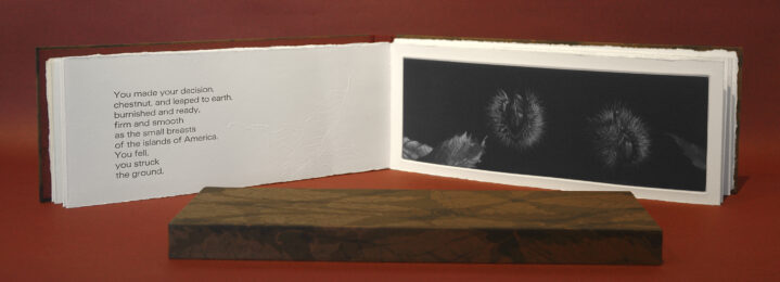 Ode To A Chestnut On The Ground by Judith Rothchild at Emanuel von Baeyer - Cabinet
