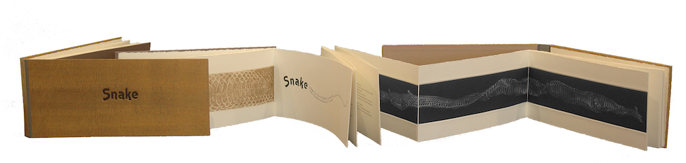 Snake by Judith Rothchild at Emanuel von Baeyer - Cabinet