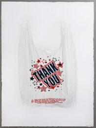 Thank You Plastic Bag by Analia Saban at Jonathan Novak Contemporary Art