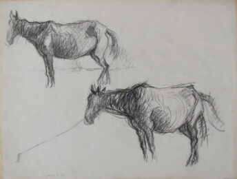 Two Horses, One Tethered by Wolf Kahn at William Chambers Art