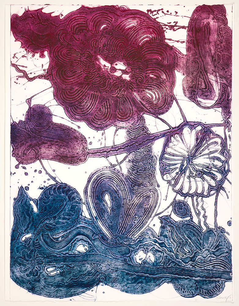Garden (daisy, Magenta, Blue) by Catherine Howe