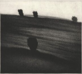 Crest With Trees by Robert Kipniss at ebo Gallery