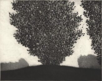 Crest by Robert Kipniss at ebo Gallery