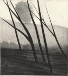 Five Trees And Hillside by Robert Kipniss at ebo Gallery