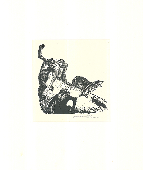 Affen Jagen Den Wolf by Walther Klemm