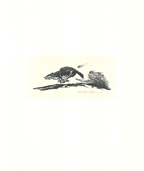 Flucht by Walther Klemm