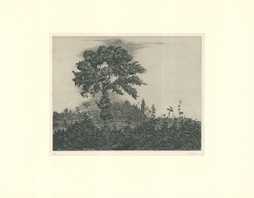 Landschaft by Otto Coester