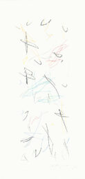Ocells Variant 1-2 by Albert Rafols-Casamada at Sylvan Cole Gallery