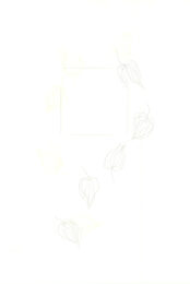 Physalis by Katsuhito Nishikawa at Sylvan Cole Gallery