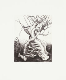 Daphne Rejecting Apollo by Inka Essenhigh at Aspinwall Editions