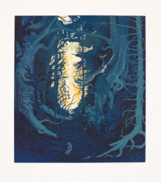 Living Forest by Inka Essenhigh at Aspinwall Editions