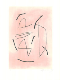Signe I Color 4 by Albert Rafols-Casamada at Sylvan Cole Gallery