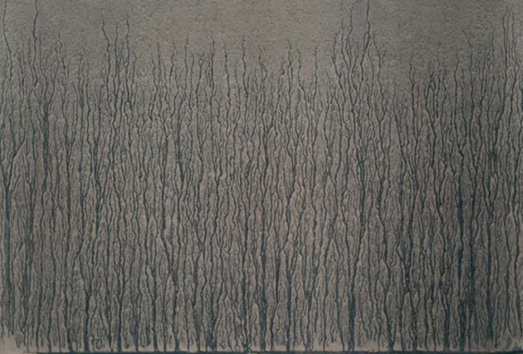 Image C From: “river Avon Mud Drawings” by Richard Long at
