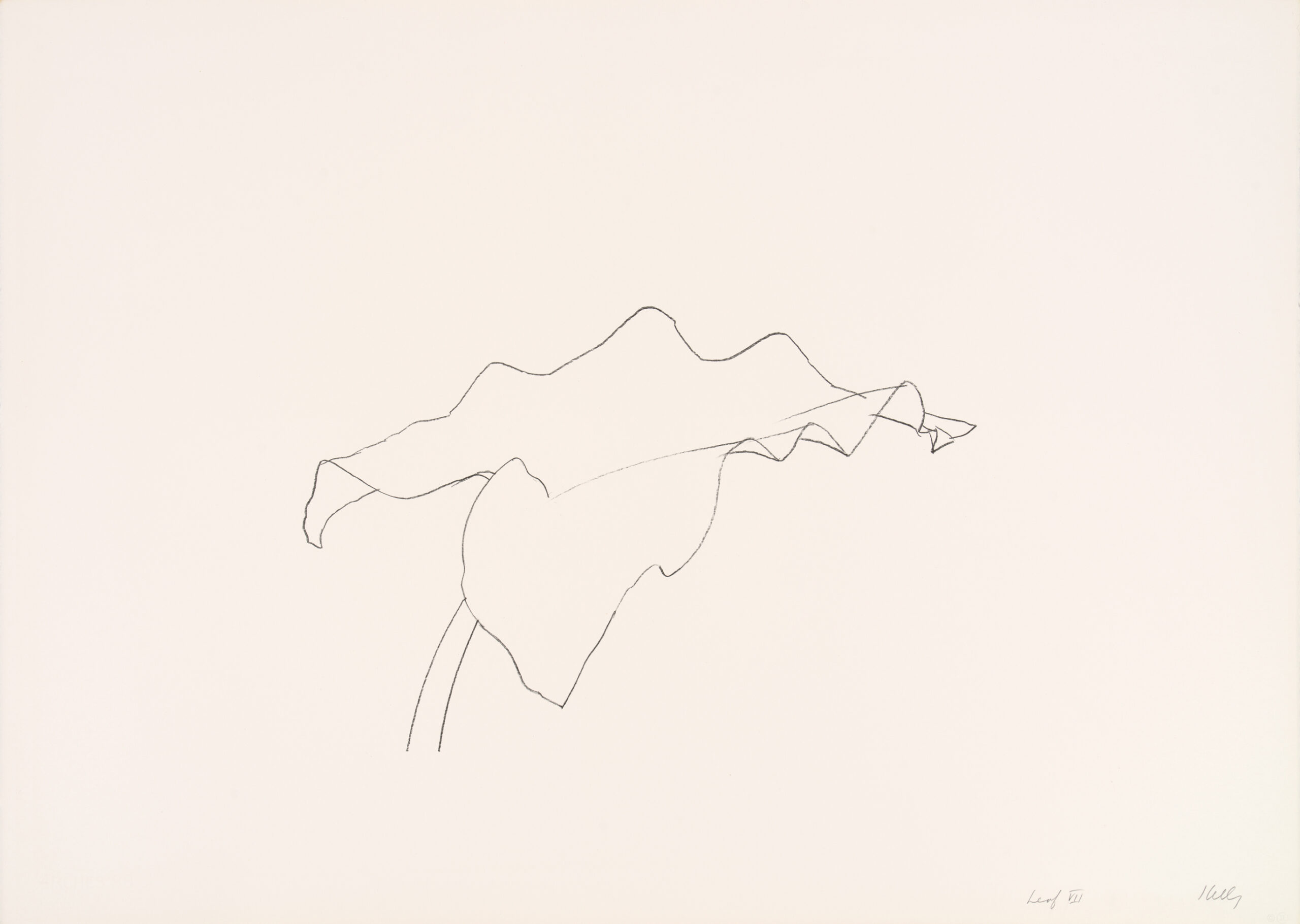 Leaf Vii by Ellsworth Kelly