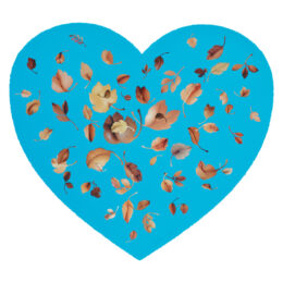 Fall In Love II by Jonathan Yeo at Manifold Editions