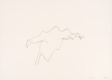Leaf Vii by Ellsworth Kelly at Susan Sheehan Gallery