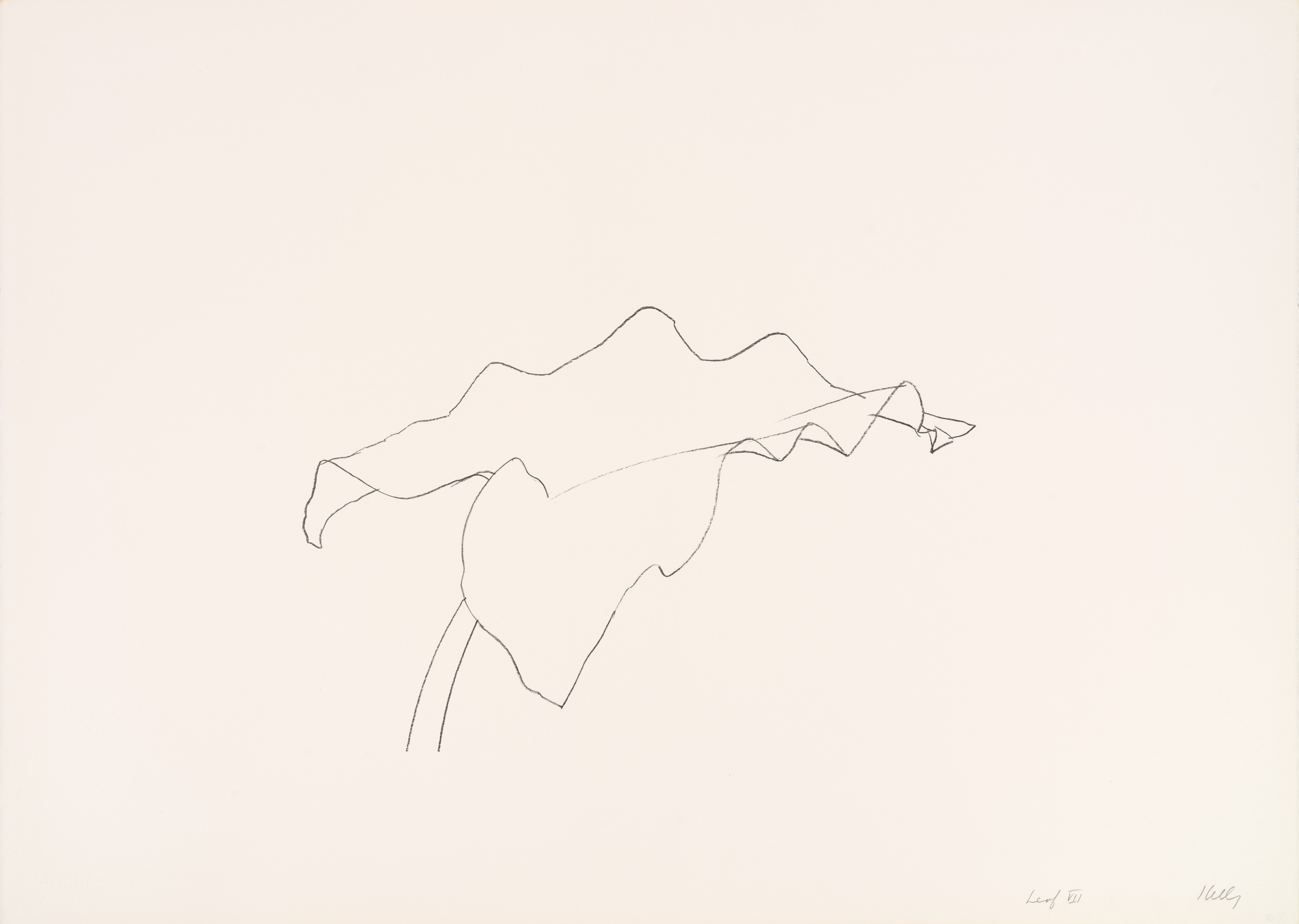 Leaf Vii by Ellsworth Kelly