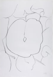 Melon Leaf by Ellsworth Kelly at Susan Sheehan Gallery