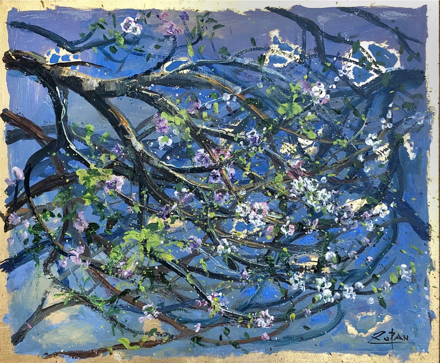 Almond Trees In Spring by Bruno Zupan