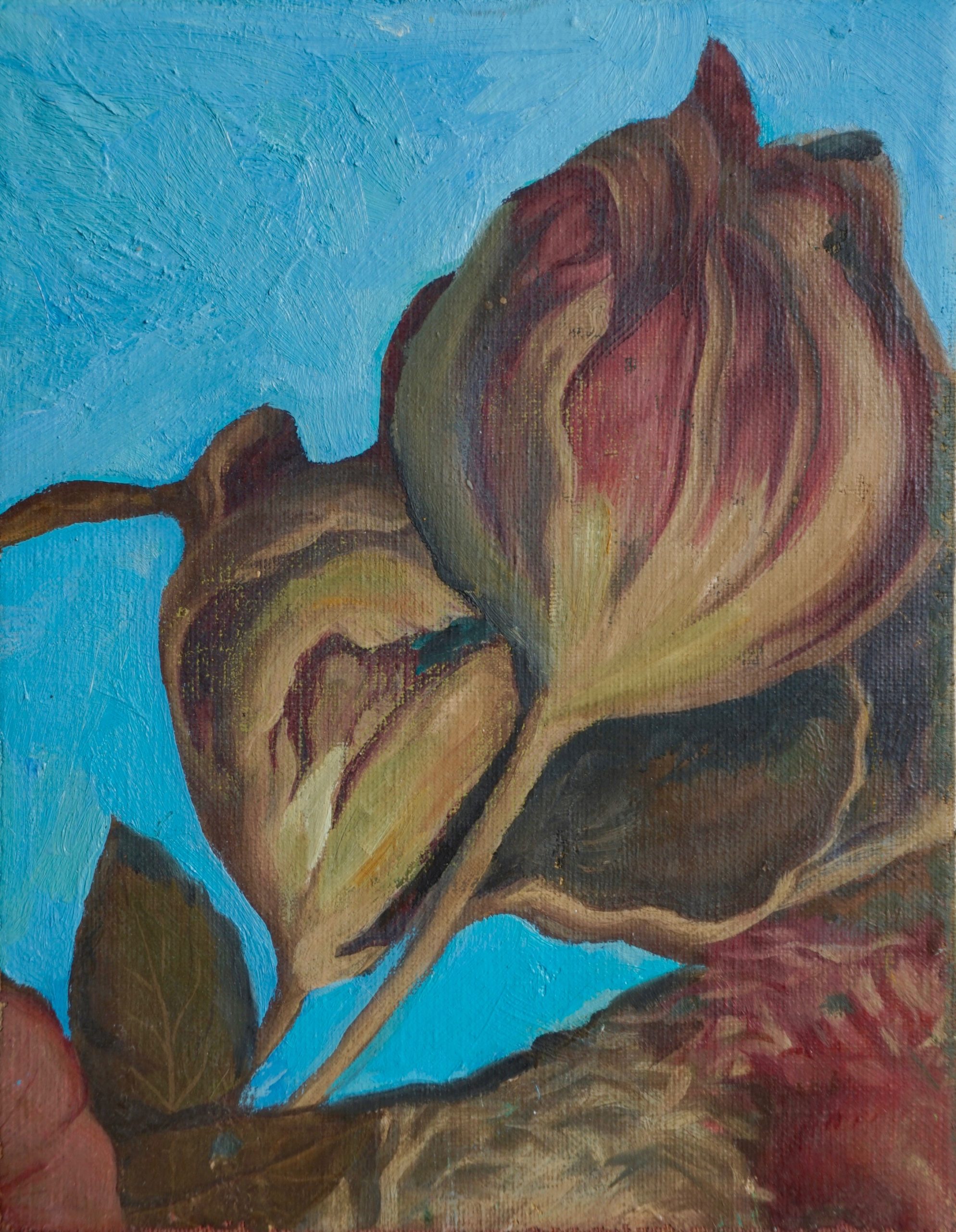 Color Derivatives #34 by Natasha Zupan
