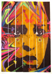 Untitled #6 by Stinkfish at Gregg Shienbaum Fine Art