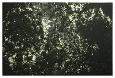 ‘aqua Oscura’  Autumn by James Turrell at Paupers Press