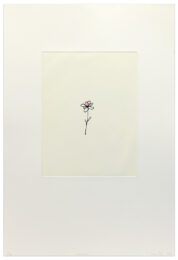 Correction by Liliana Porter at Krakow Witkin Gallery