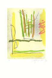 Floral-1 by Albert Rafols-Casamada at Sylvan Cole Gallery