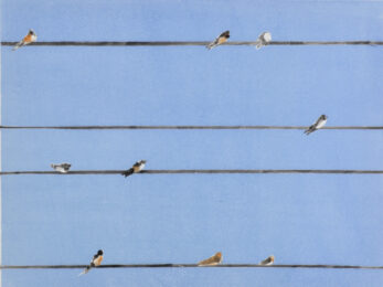 Birds on Wire by Sari Davidson at Oehme Graphics