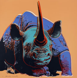 Black Rhinoceros (fs Ii.301) by Andy Warhol at Revolver Gallery