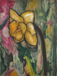 Daffodil 4 by Sari Davidson at Oehme Graphics