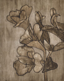 Daylillies by Sari Davidson at Oehme Graphics