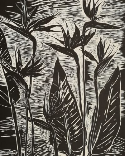 Strelitzia by Elizabeth Blackadder