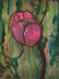 Pink Tulip 4 by Sari Davidson at Oehme Graphics