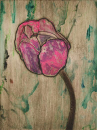Pink Tulip 6 by Sari Davidson at Oehme Graphics
