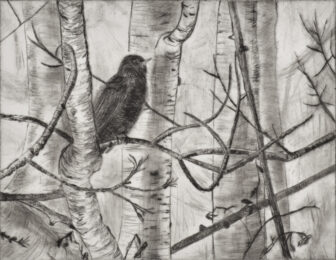 Robin 1 by Sari Davidson at Oehme Graphics
