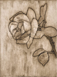 Rose 1 by Sari Davidson at Oehme Graphics
