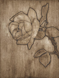 Rose 3 by Sari Davidson at Oehme Graphics